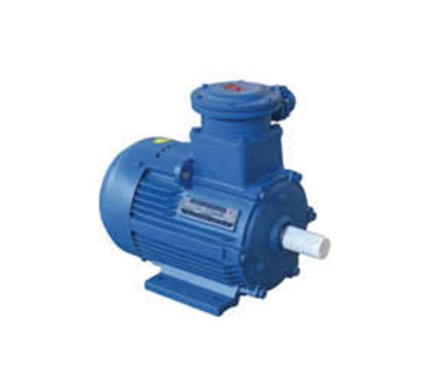 防爆電動(dòng)機(jī)